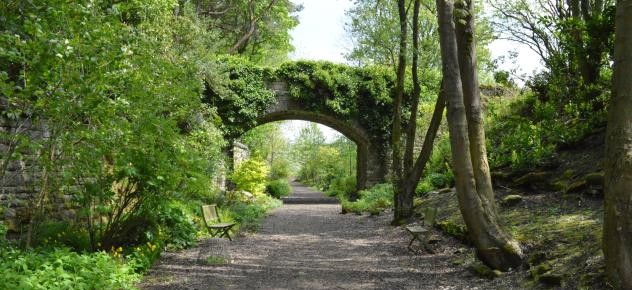 bridge-crop
